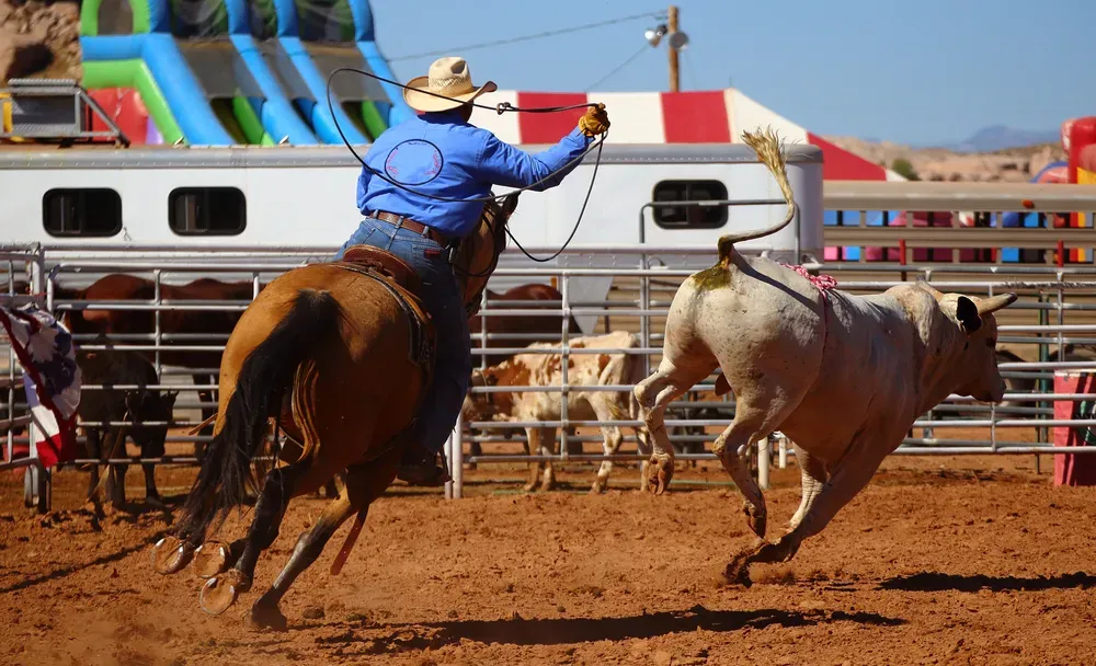 Rodeo